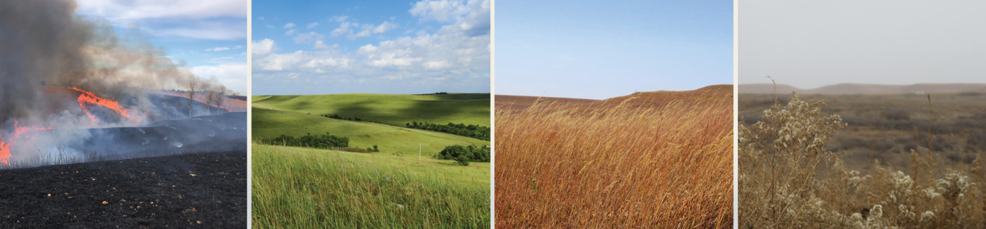 Konza Prairie 
